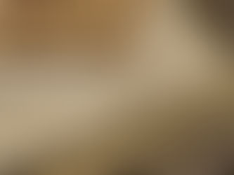 Confecção de protótipos de ecobags a partir do aproveitamento de fibras naturais