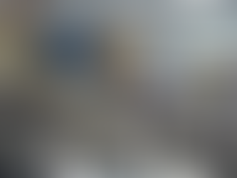 Novo Hamburgo rediscute seus modelos de negócios