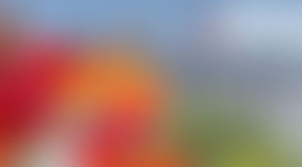 Yonkers Celebrates the Historic Inaugural Season of the First Yonkers Girls Flag Football League