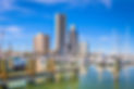 Corpus Christi, Texas, USA skyline on the bay in the day..jpg