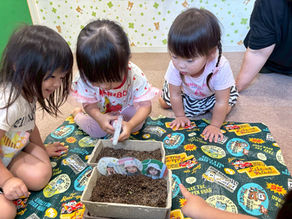 5月22日(金)