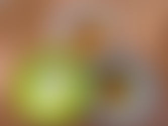 🍽️10月27日🍽️