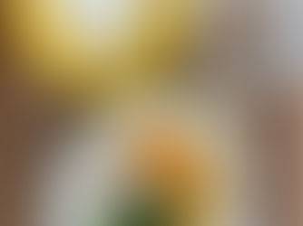 6月13日(土)