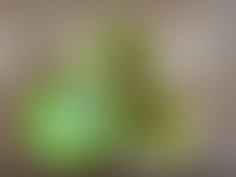 6月15日のメニューは・・・?