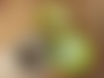🍽️８月２７日🍽️