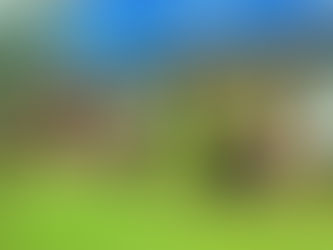 Cliente na mídia: Frederica's Koffiehuis no Estúdio C