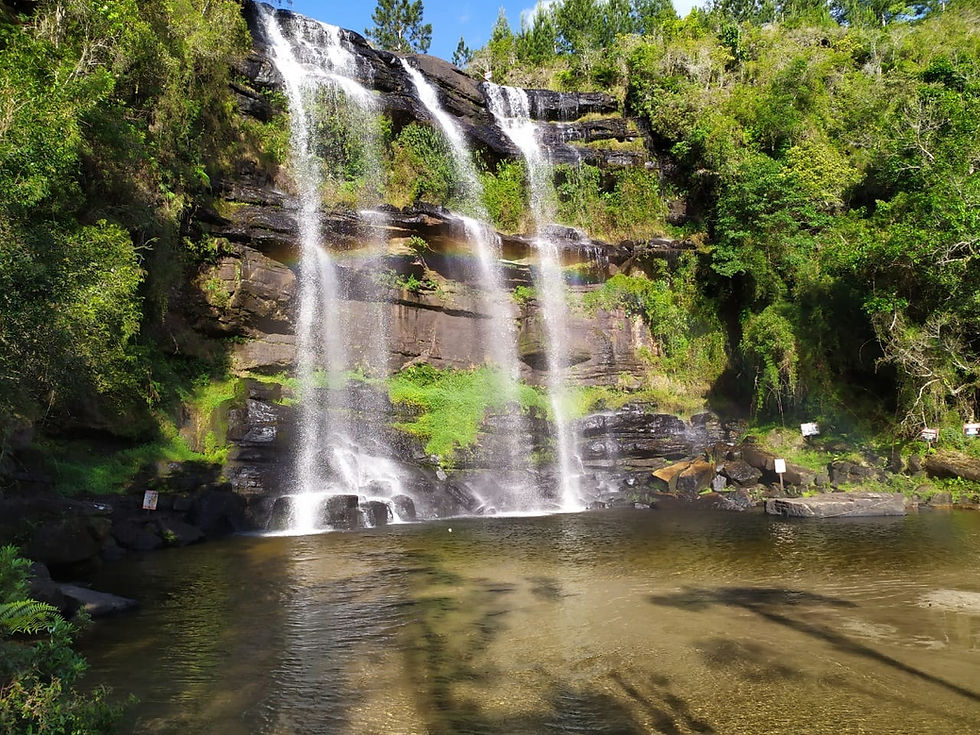 foto de um cachoeira cerca por ávores