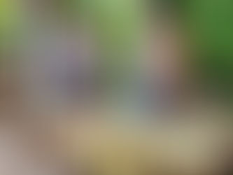 Ponta Grossa Campos Gerais Convention & Visitors Bureau tem novos associados