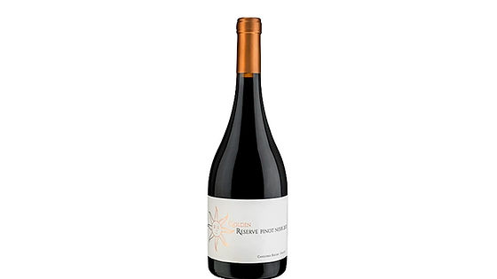Vinho Pizzorno Golden Reserve Pinot Noir Tinto - 750ml - Uruguai
