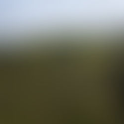 Turismo em Áreas Naturais é tema do 4º Salão de Turismo dos Campos Gerais