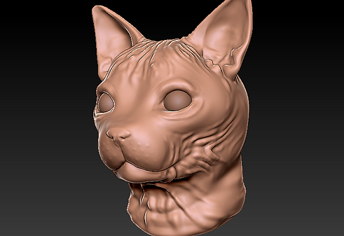 wrinkly_cat_test.png