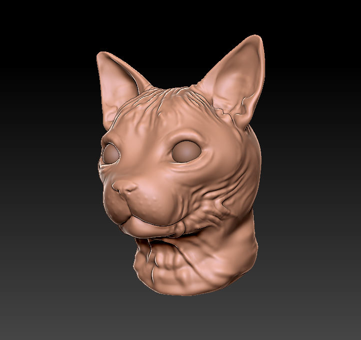 wrinkly_cat_test.png