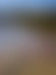 Painel permite que população acompanhe aplicação de R$1,47 bi em saneamento na Bacia do Paraopeba