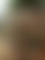 Ibram alega que Vale já destinou R$4,4 bilhões a atingidos e pede fim do auxílio emergencial para Brumadinho