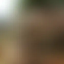 Ibram alega que Vale já destinou R$4,4 bilhões a atingidos e pede fim do auxílio emergencial para Brumadinho