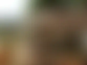 Ibram alega que Vale já destinou R$4,4 bilhões a atingidos e pede fim do auxílio emergencial para Brumadinho