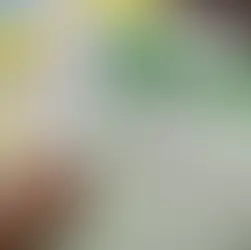 Isenção do Enem 2026 já pode ser solicitada; moradores de Brumadinho têm até 24 de abril para pedir gratuidade