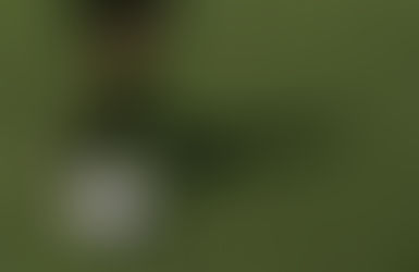 Confira os jogos da 2ª rodada da segundona do Campeonato Brumadinhense