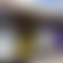 Câmara abre consulta pública sobre linha de ônibus para BH; população pode opinar até 30 de abril