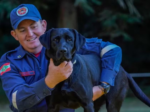 Cadela que atuou em Brumadinho se aposenta após anos de serviço ao Corpo de Bombeiros