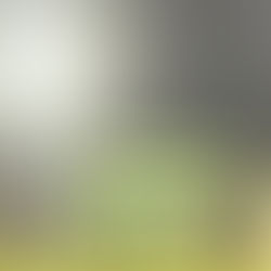 Prefeitura conclui substituição por LED em campo do Itaguaense; comunidade celebra iluminação