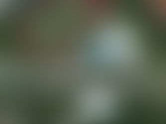 Estação Conhecimento abre inscrições para caminhadas e aulas de funcional gratuitas