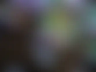 SUS lança teleatendimento gratuito para pessoas com compulsão por apostas online