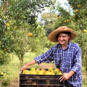 Semana do Agricultor 2026 em Brumadinho valoriza produtores rurais com palestras, oficinas e entrega do Selo de Inspeção Municipal