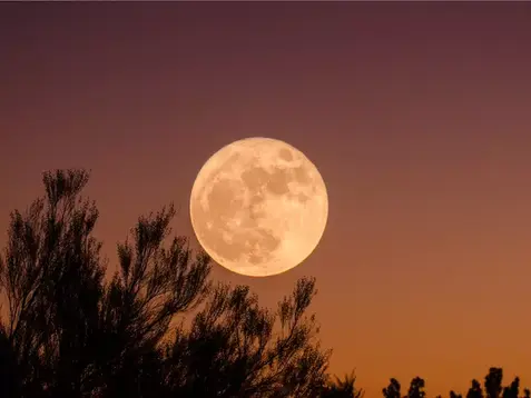 Espetáculo celeste: maior superlua de 2025 poderá ser vista em Brumadinho