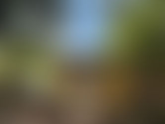 Casa Branca recebe novo CRAS Acolhe e amplia oferta de serviços sociais