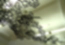 CIC_NYC6