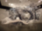 PB080007