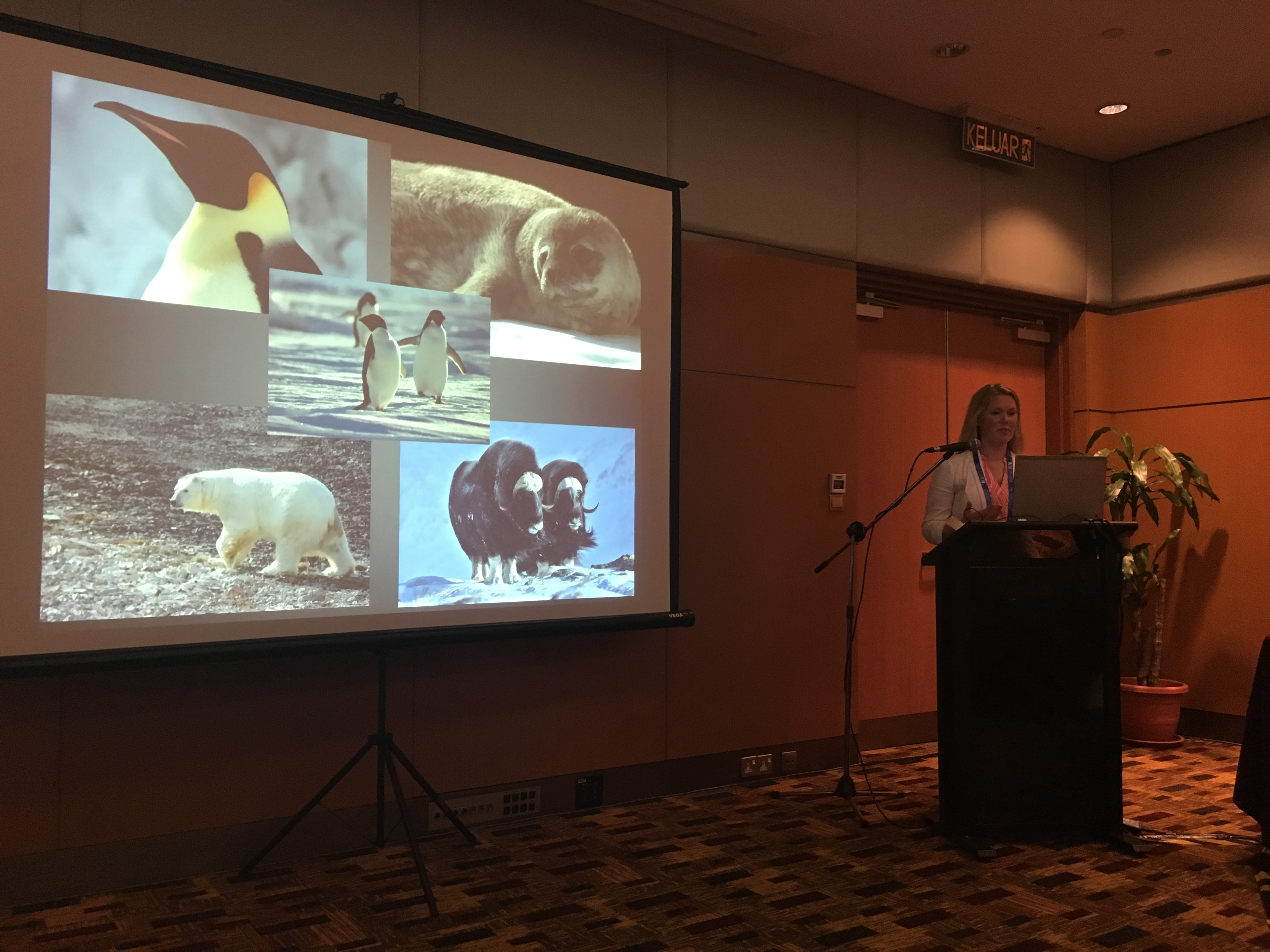 SCAR 2016 presentation