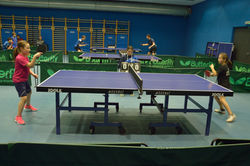 Najmlađe kadetkinje Osijek 18.2.18