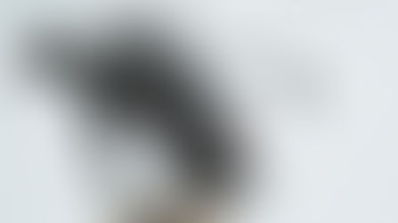 The Metal Monsters of Zac Shavrick