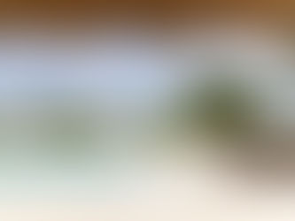 Embrace Luxury: Exceptional Travels with Yogic Odysseys