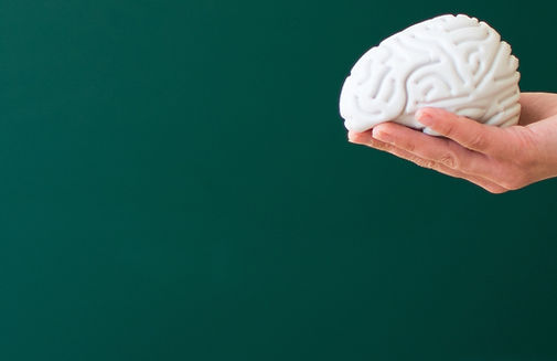 Toy Brain_edited_edited.jpg
