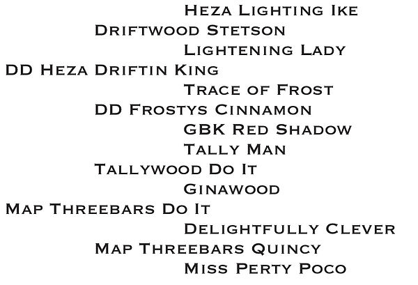 lot73pedigree.jpeg