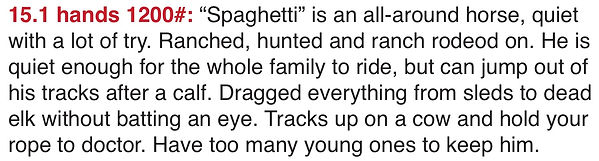 lot11writeup.jpeg