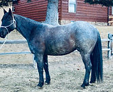 lot1-1.jpg