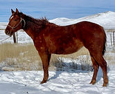 lot1-1.jpg