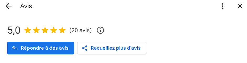 Avis Google