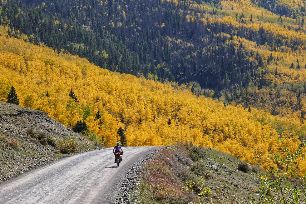 Platoro golden leaf ride.JPG