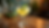 Eye-level view of a margarita glass with jalapeño garnish on a wooden table