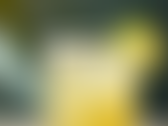 Perfect Margarita Recipe: How to Make the Perfect Margarita