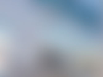 MMS GLOBAL(모나리자) 설치 완료!!