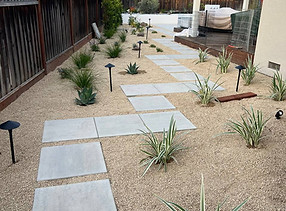 IMAGE 2024-02-07 17_11_59.jpg