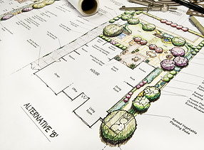 Residential back yard landscape design with drafting equipment._edited.jpg