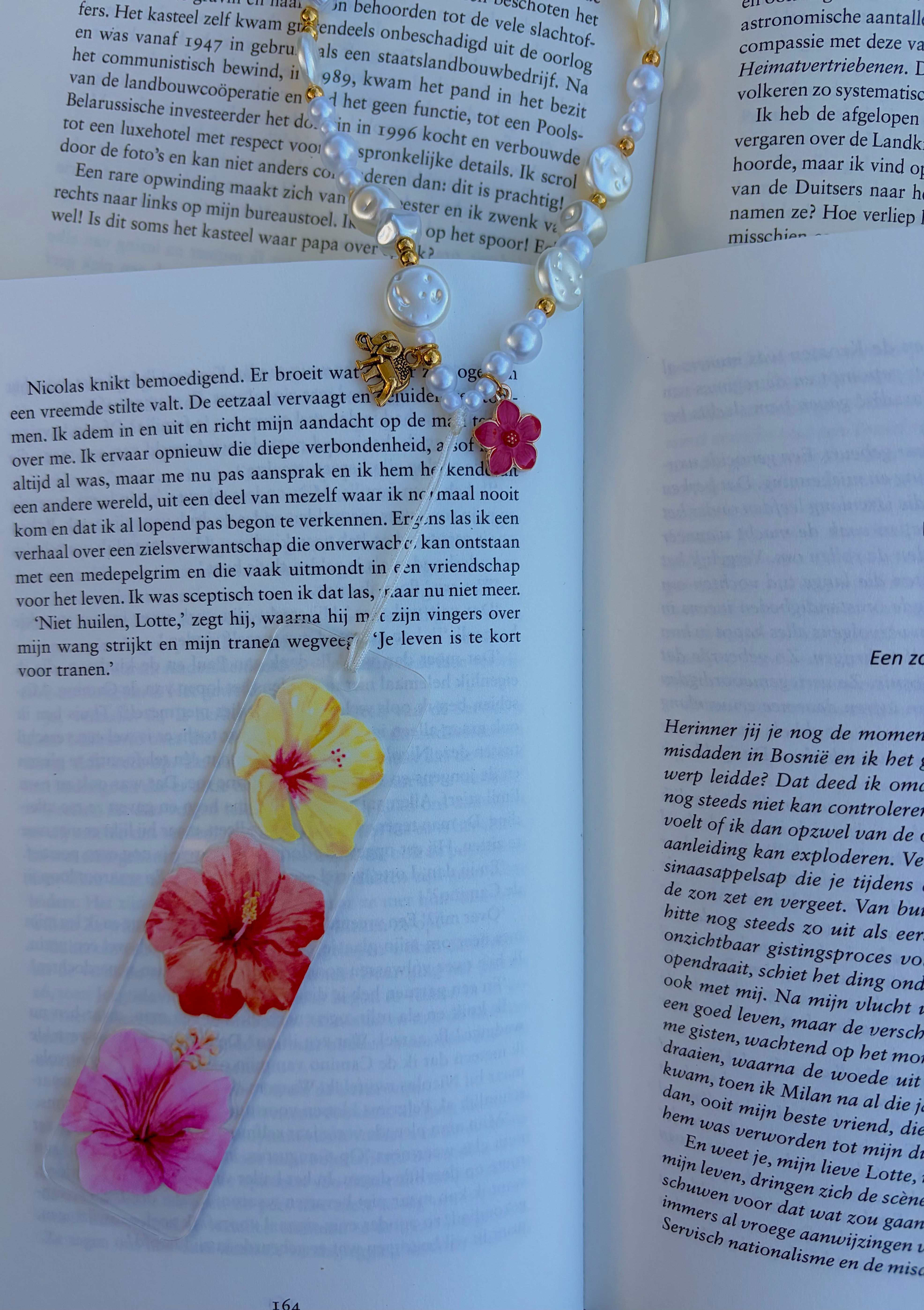 Bookmark Midnight Sunset