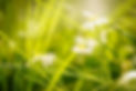6 _anouchka_olszewski_fototouren.net.jpg